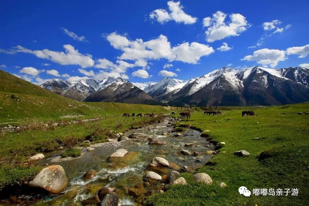 新疆，神秘多元魅力之地的探索与揭秘