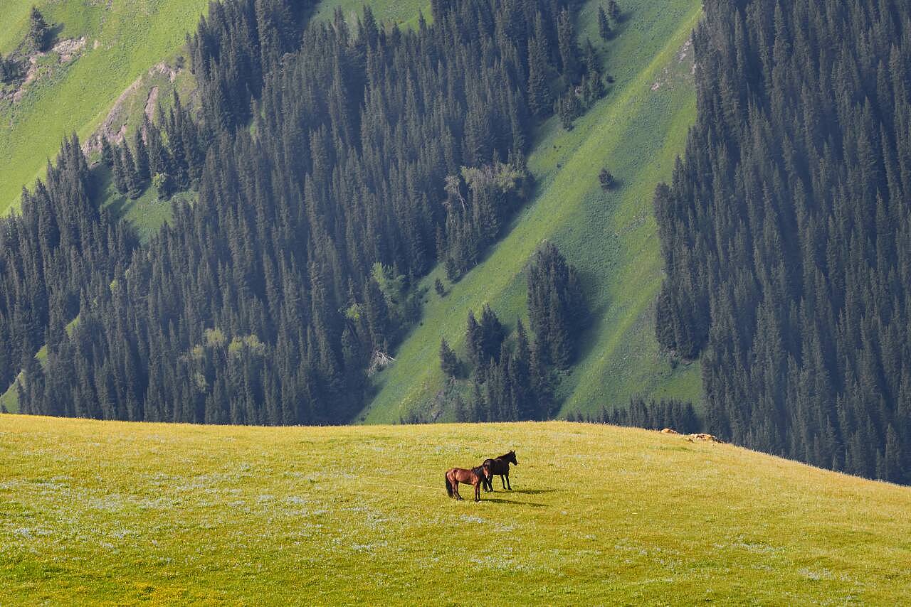 新疆盛会，尊敬的领导与朋友们共聚一堂